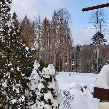 Harzbutze 60 Lägenhet Sankt Andreasberg Exteriör bild